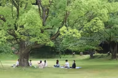 画像5