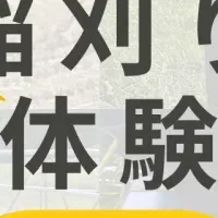 秋の稲刈り体験