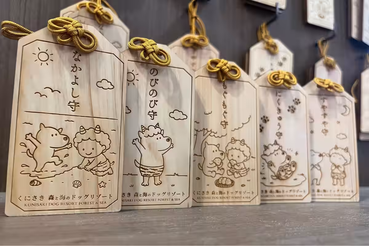 画像5