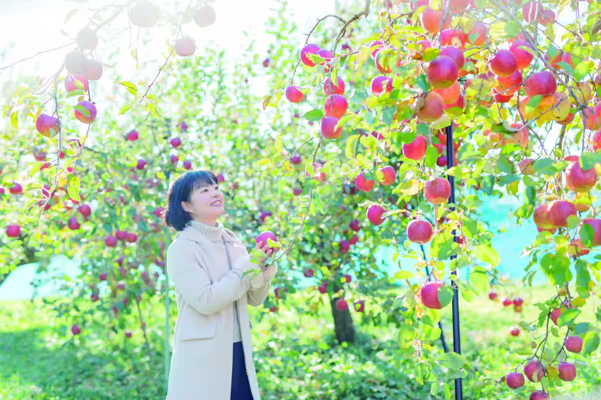 画像4