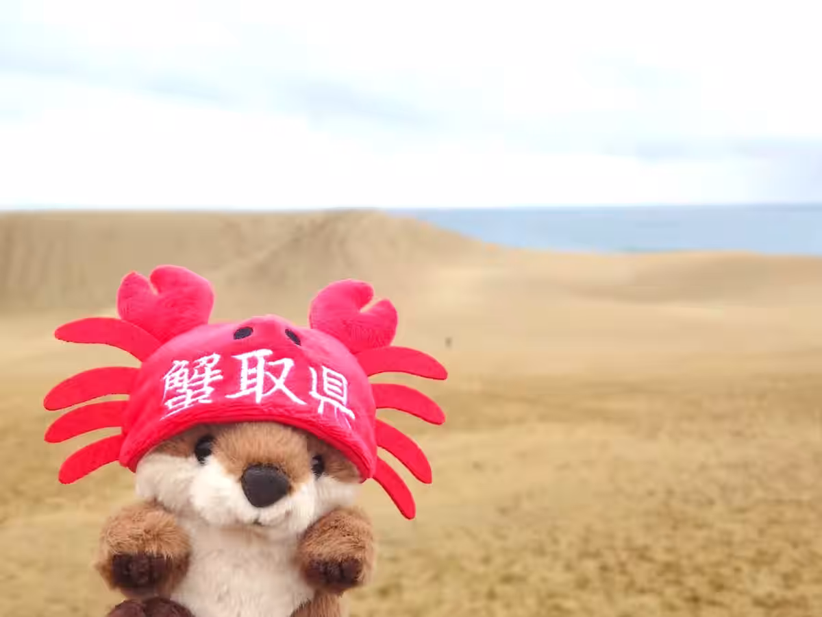 画像6