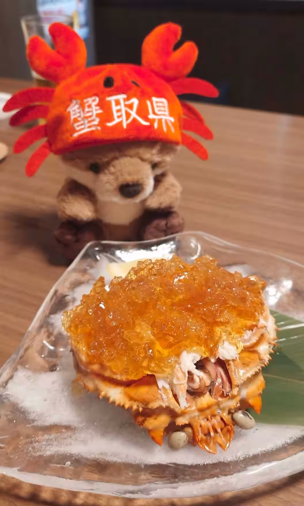 画像15