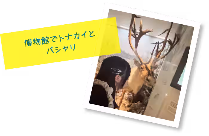 画像15