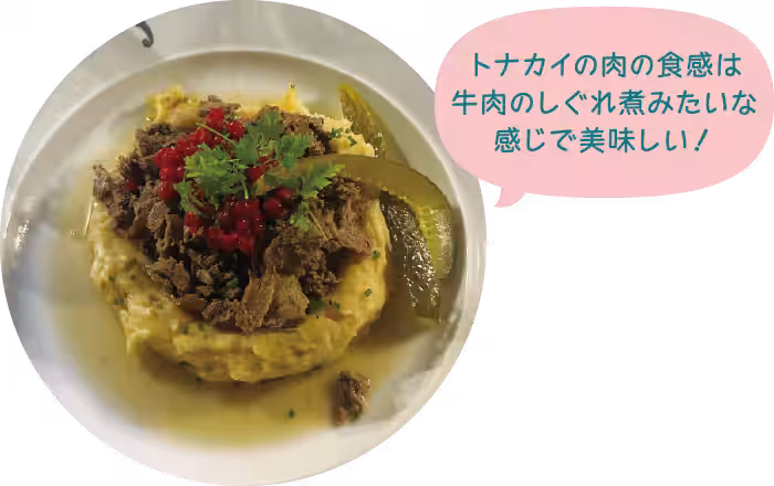 画像6