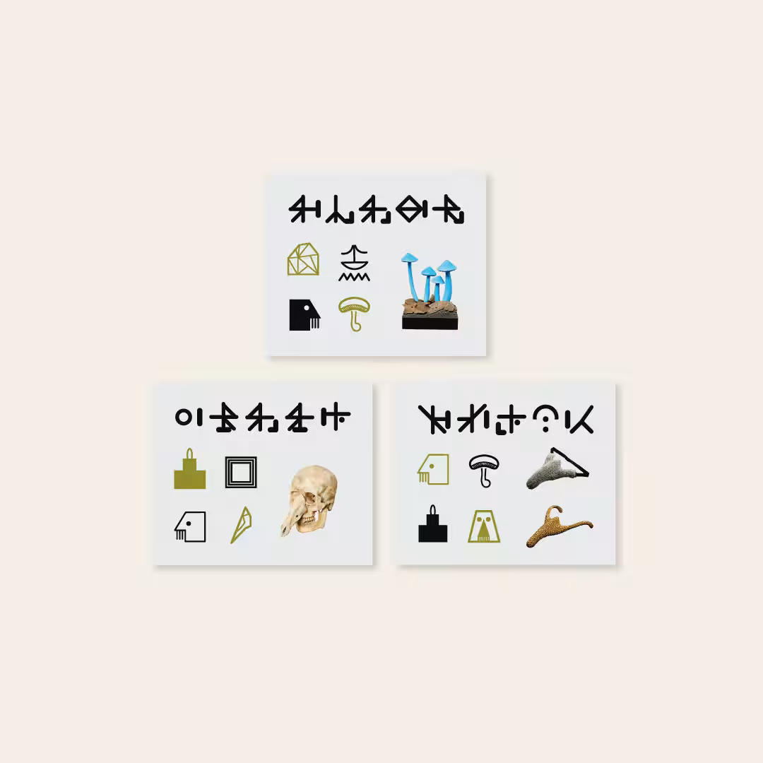 画像15