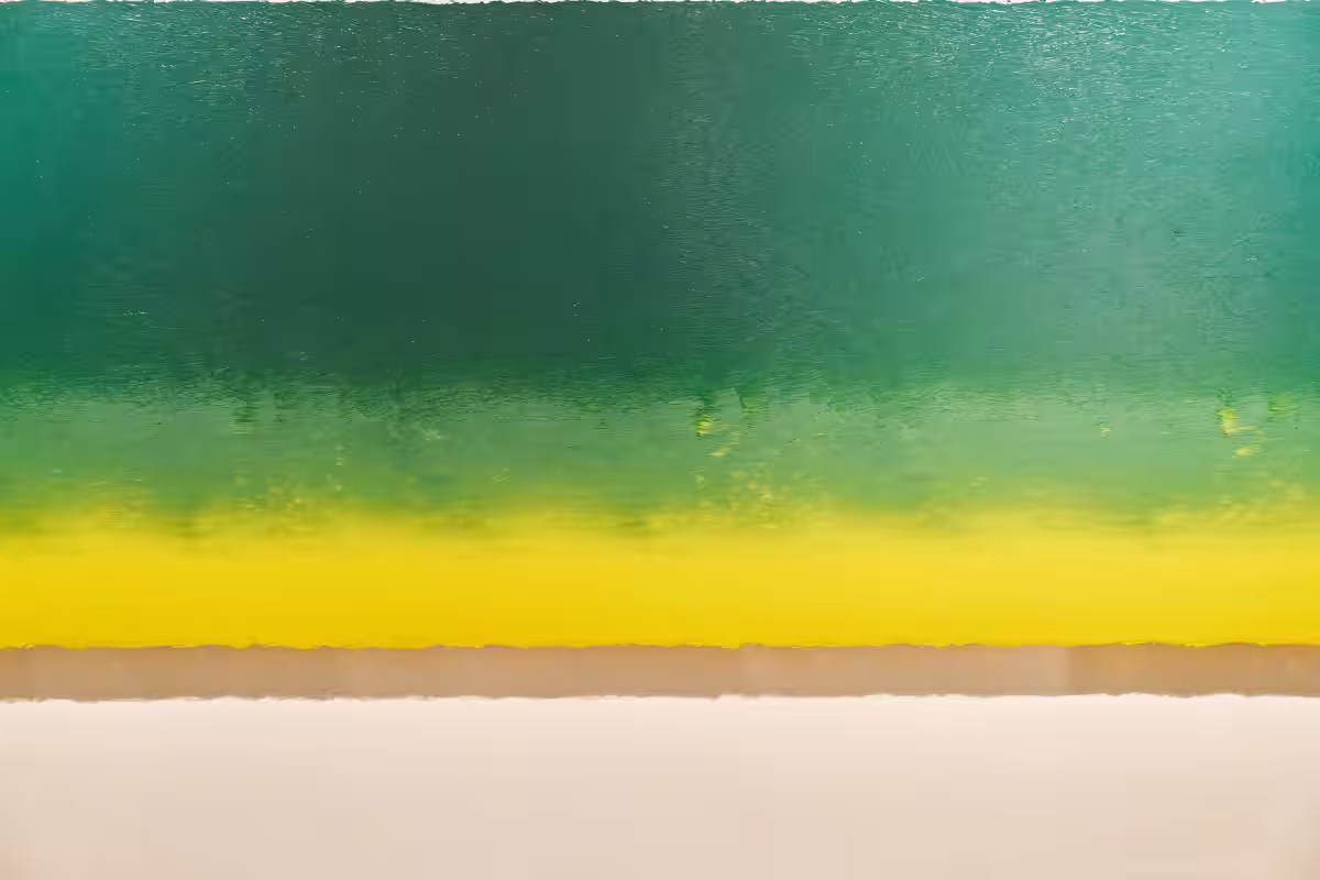 画像24