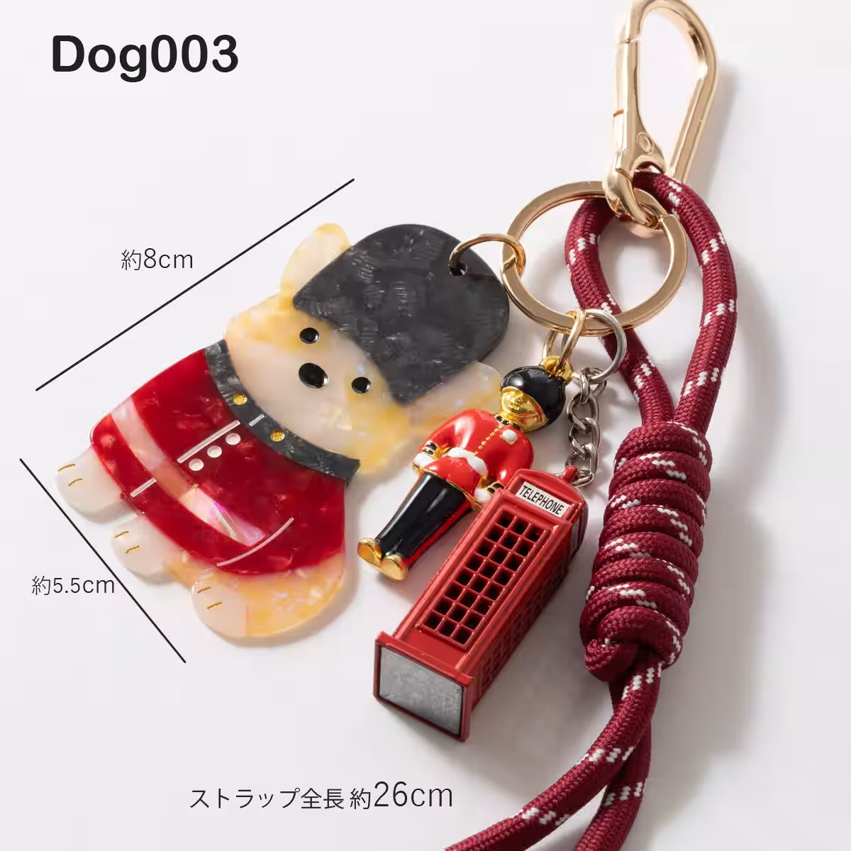 画像5