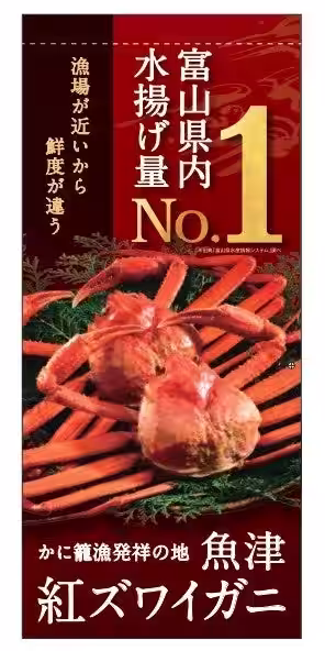 画像11