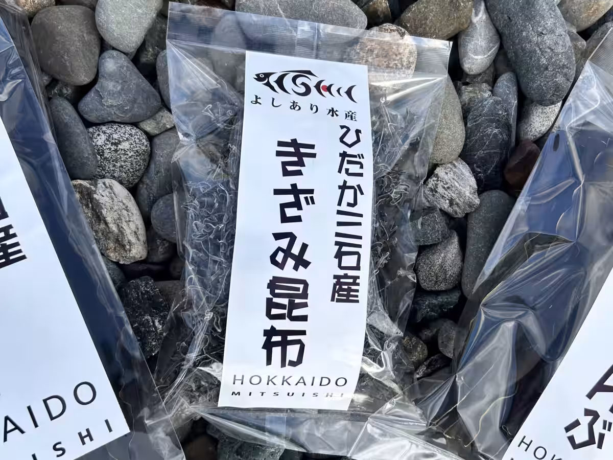 画像14