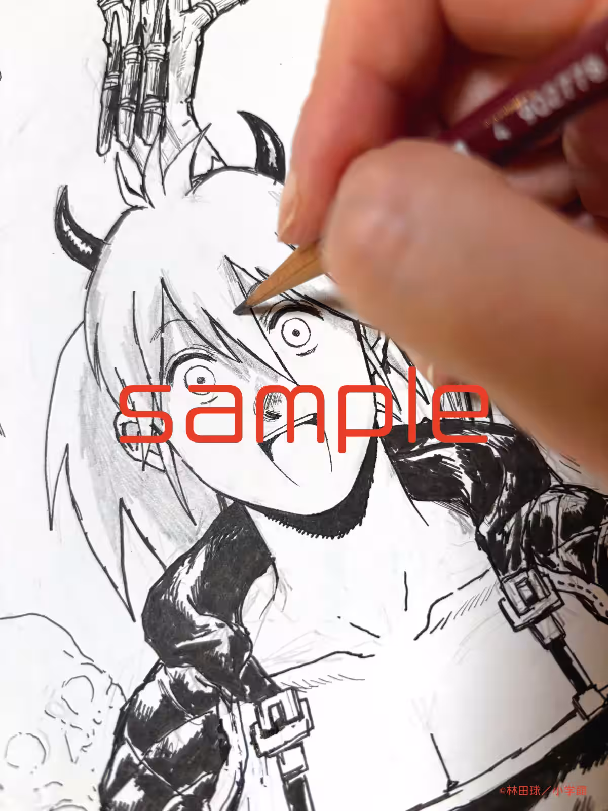 画像7