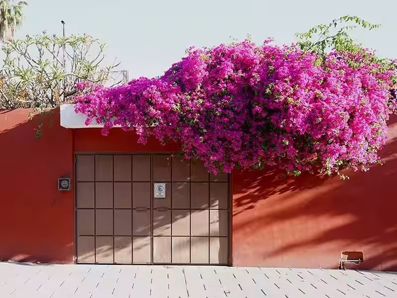画像13