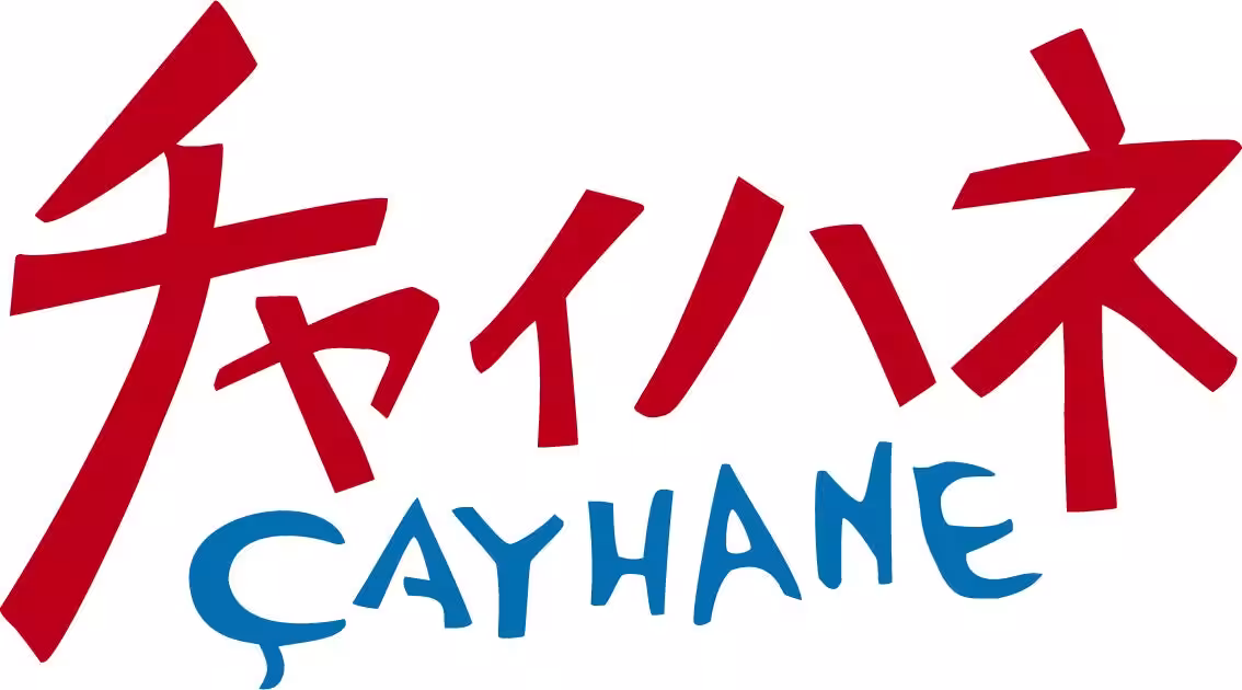 画像15