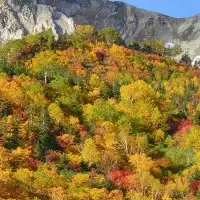 小谷村の紅葉ウィーク