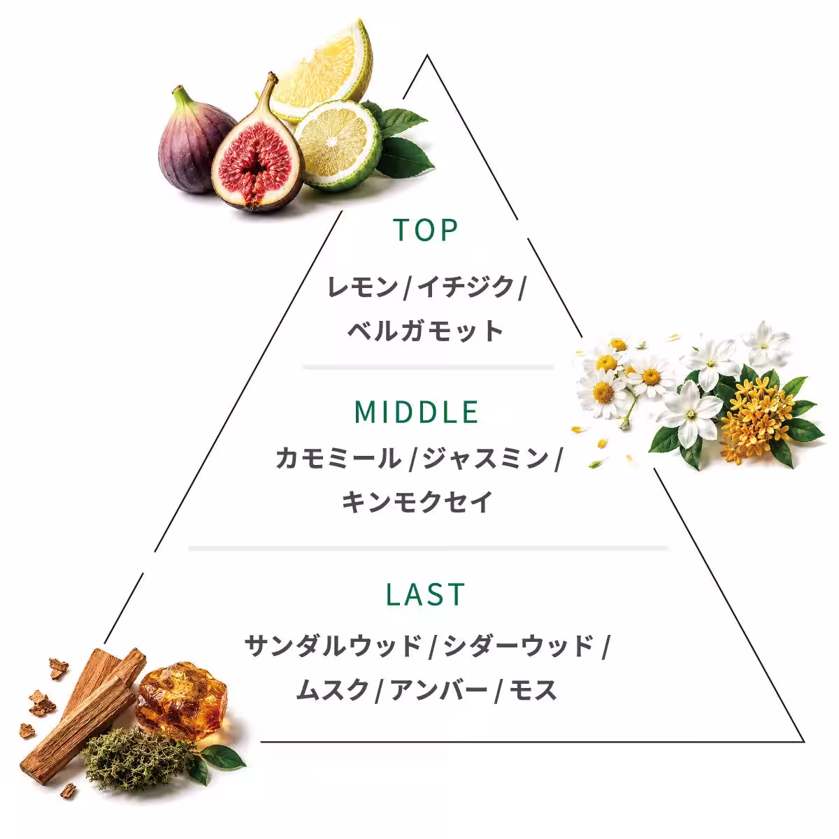 画像12