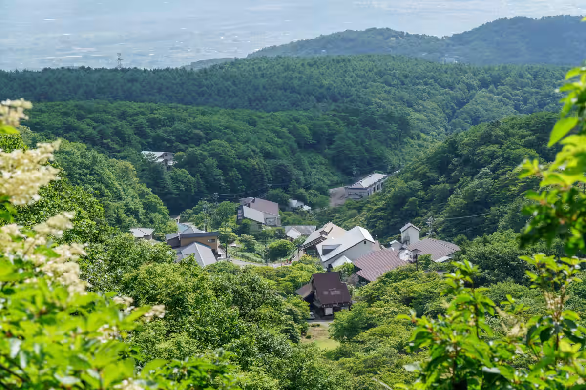 画像7