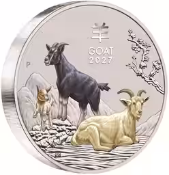 画像13
