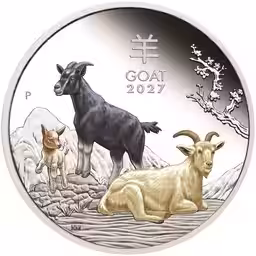 画像19