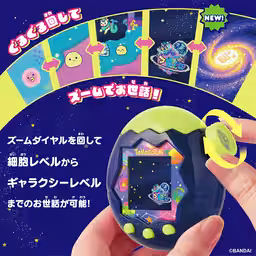 画像7