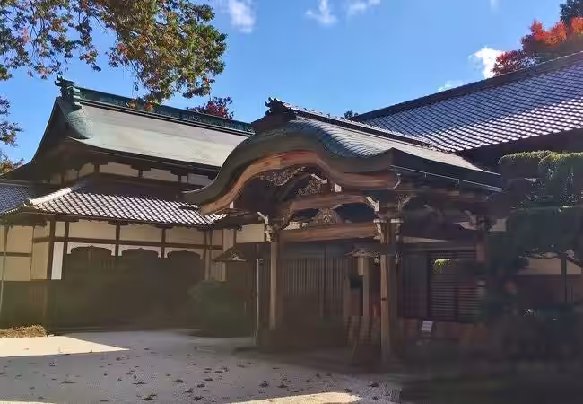 画像8