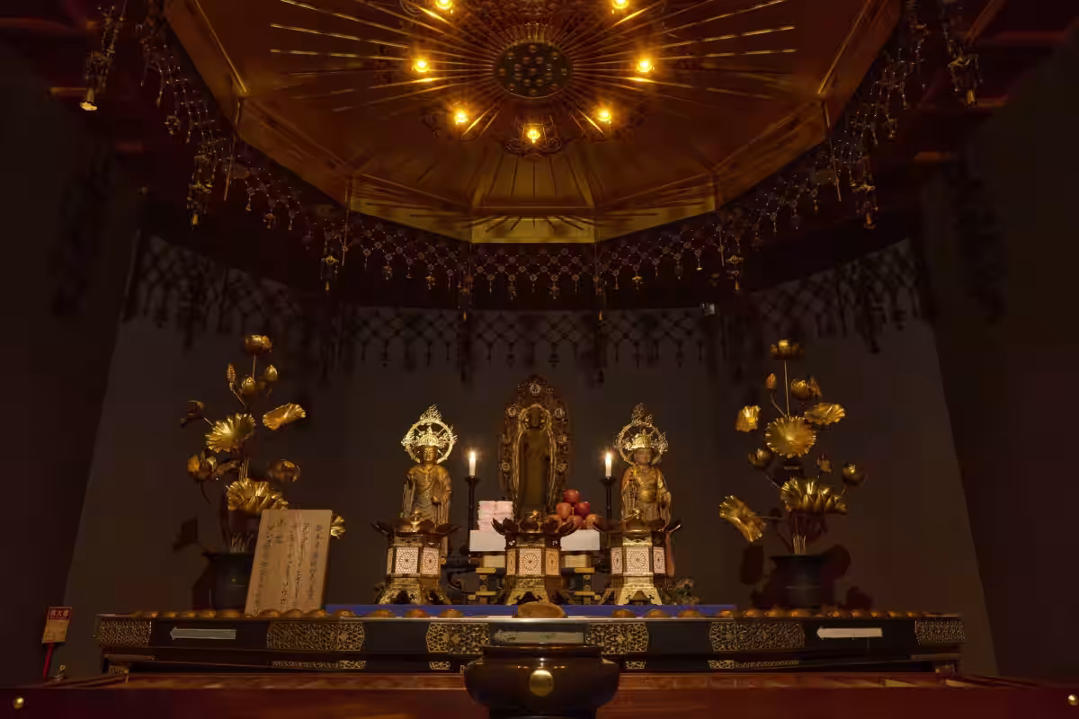 画像6
