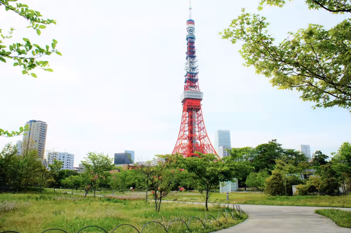 画像9