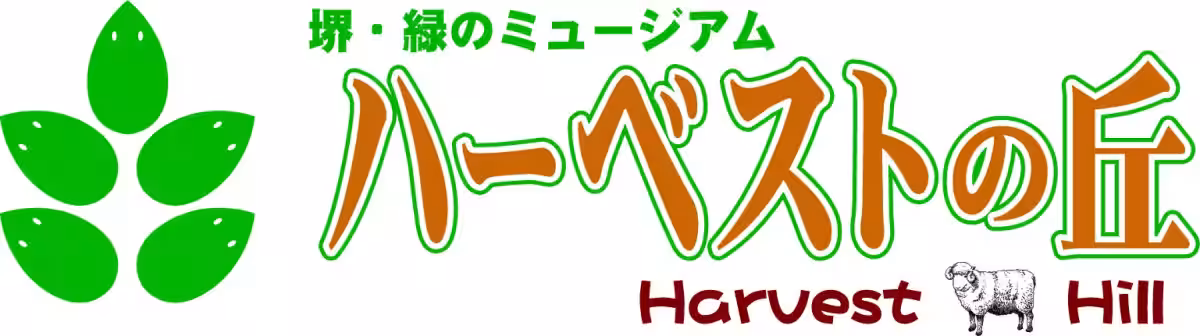 画像14