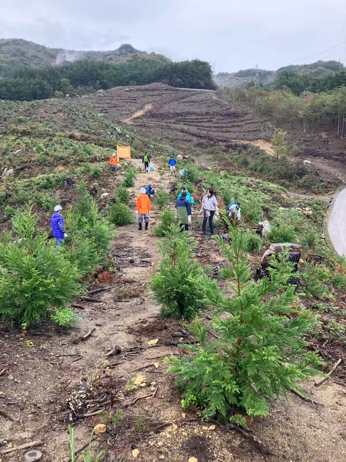 画像3