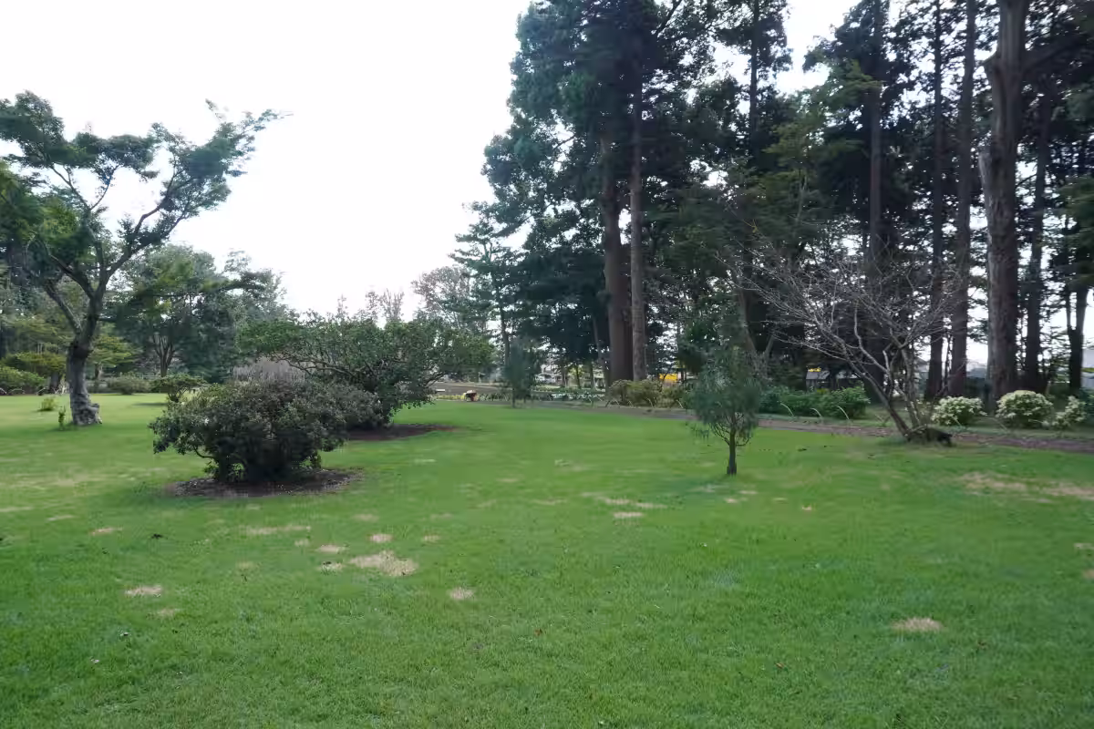 画像8