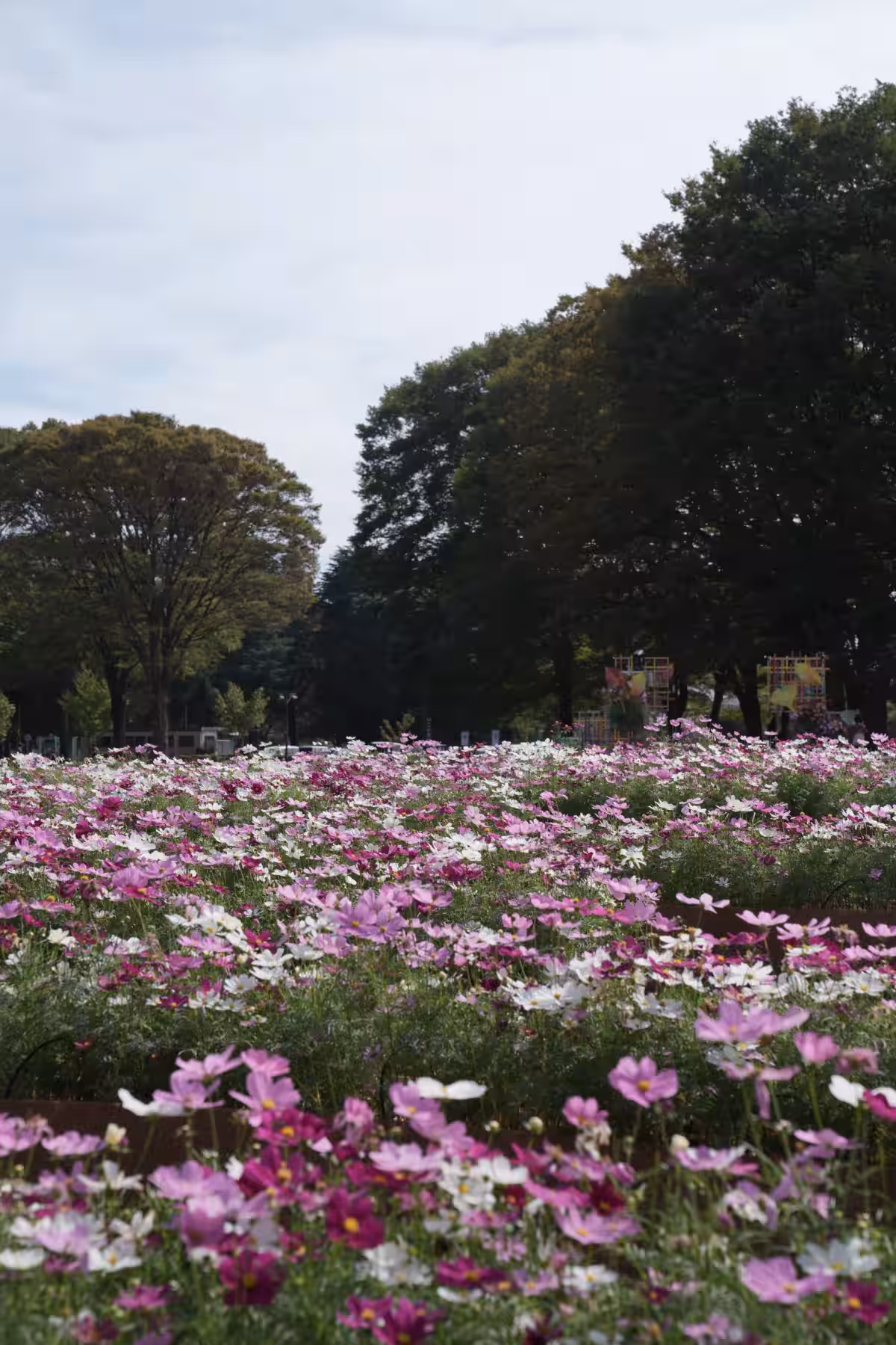画像11