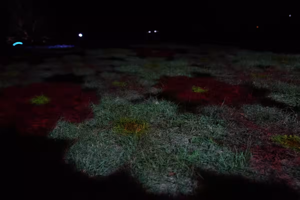 画像9