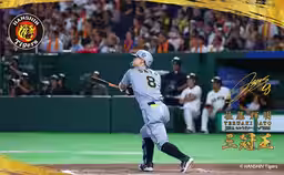 画像12