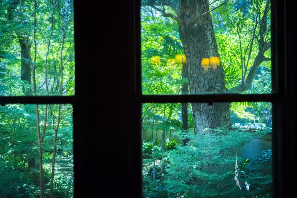 画像7