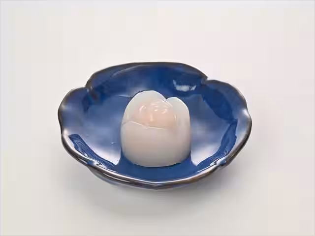 画像7