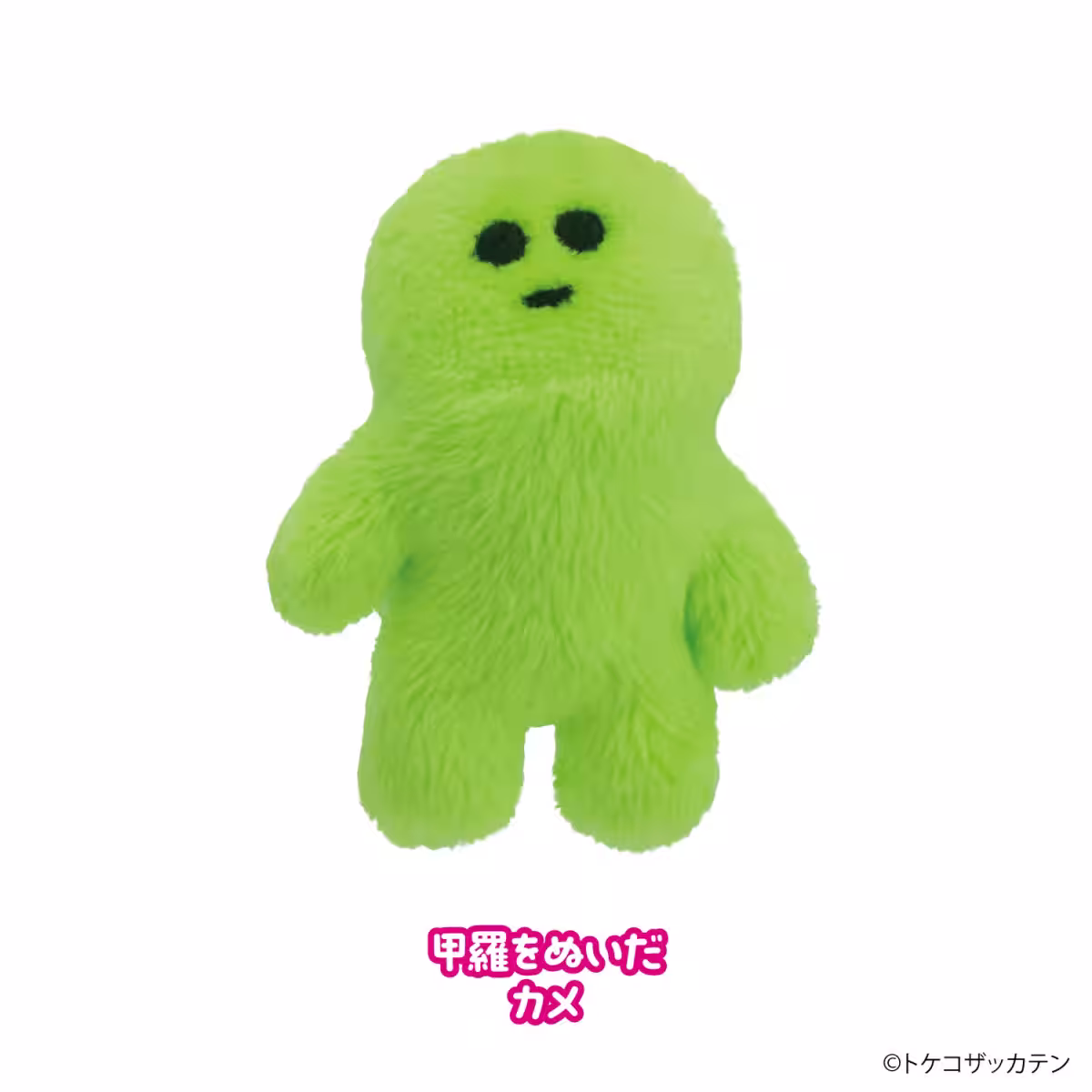 画像4