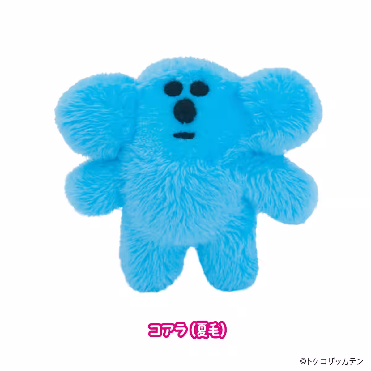 画像6
