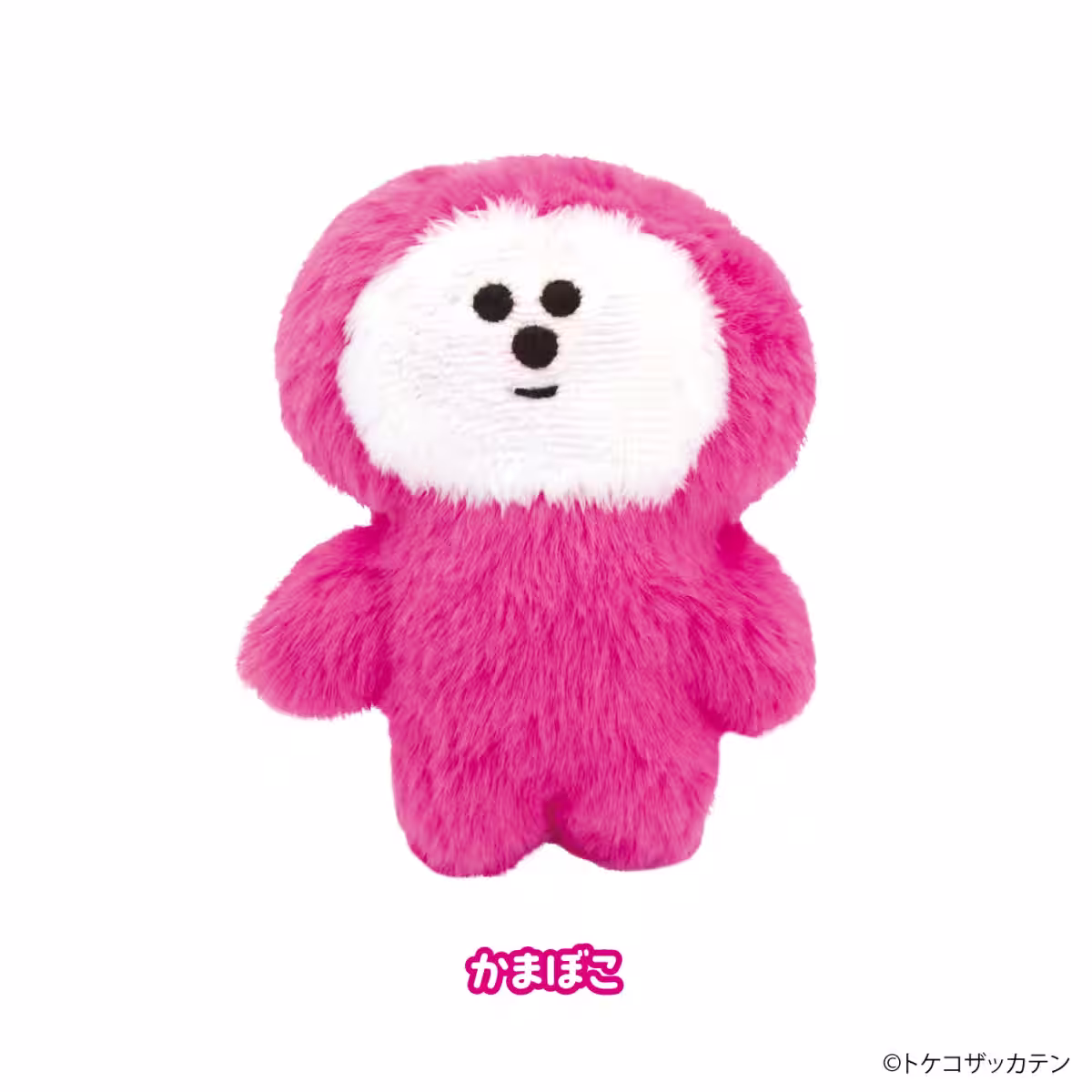 画像7