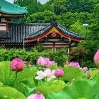 しのばず界隈文化ツアー