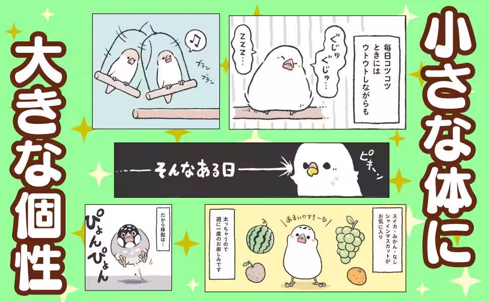 画像6