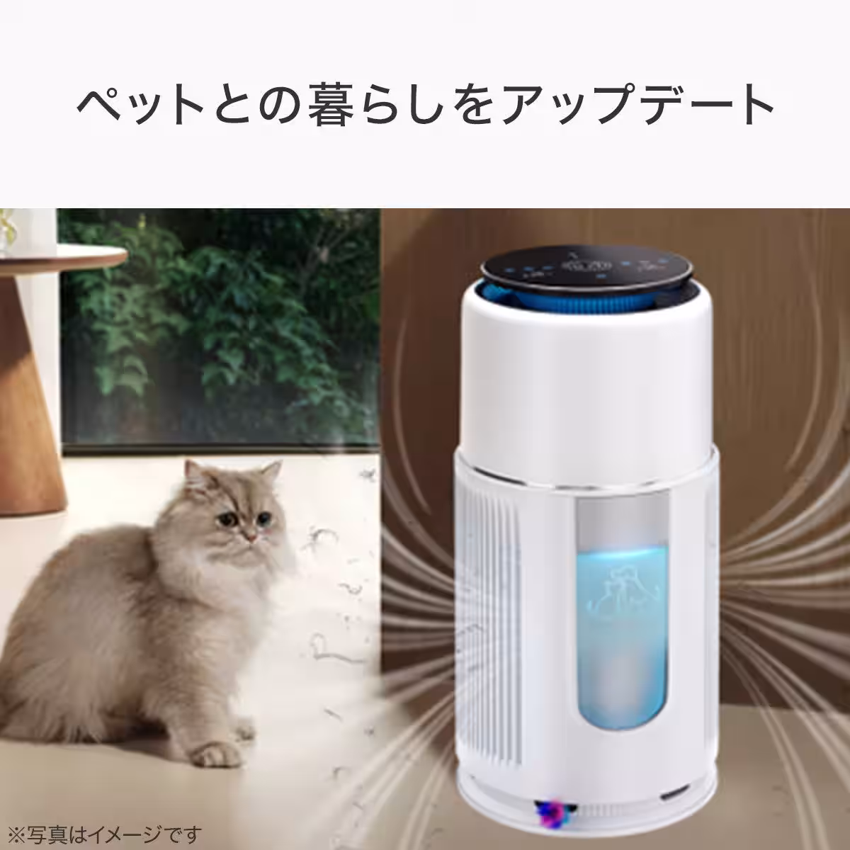 画像13