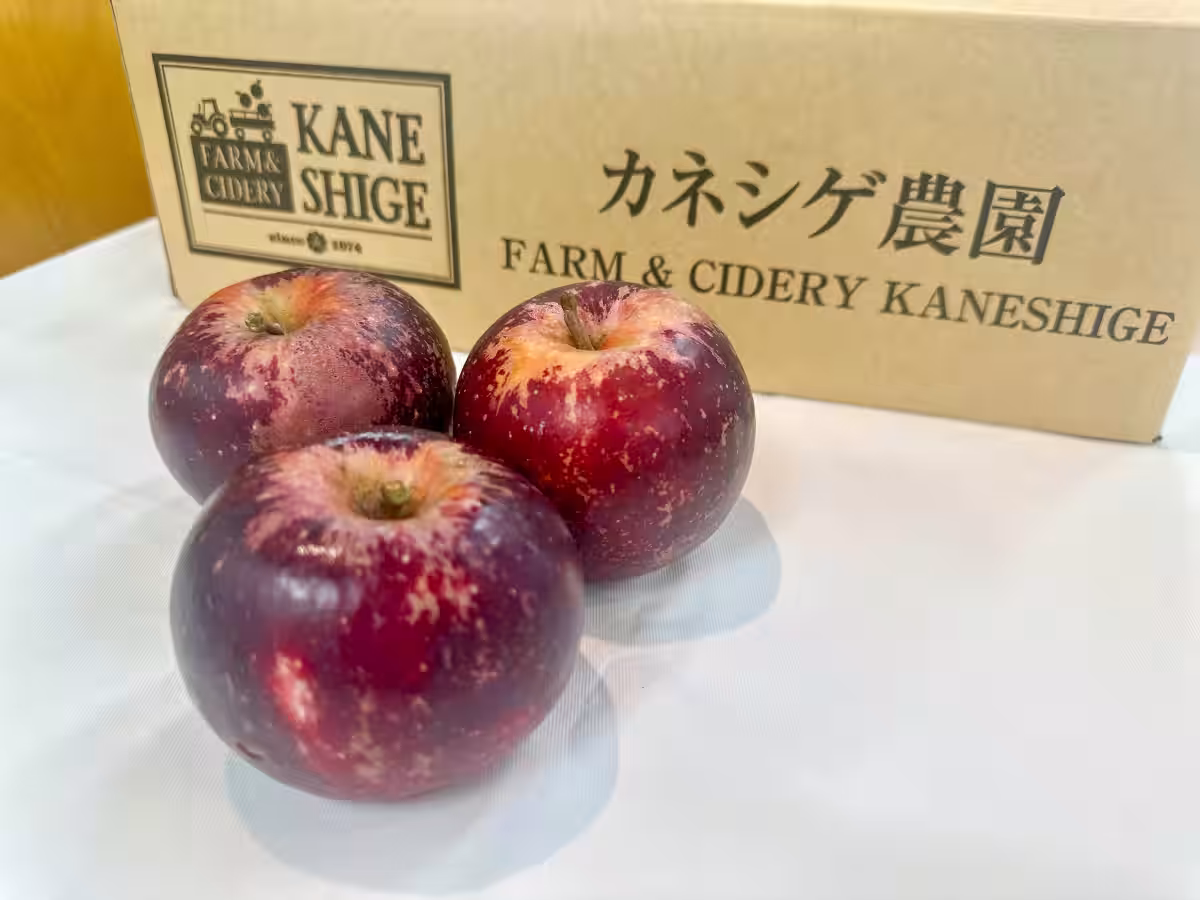 画像12