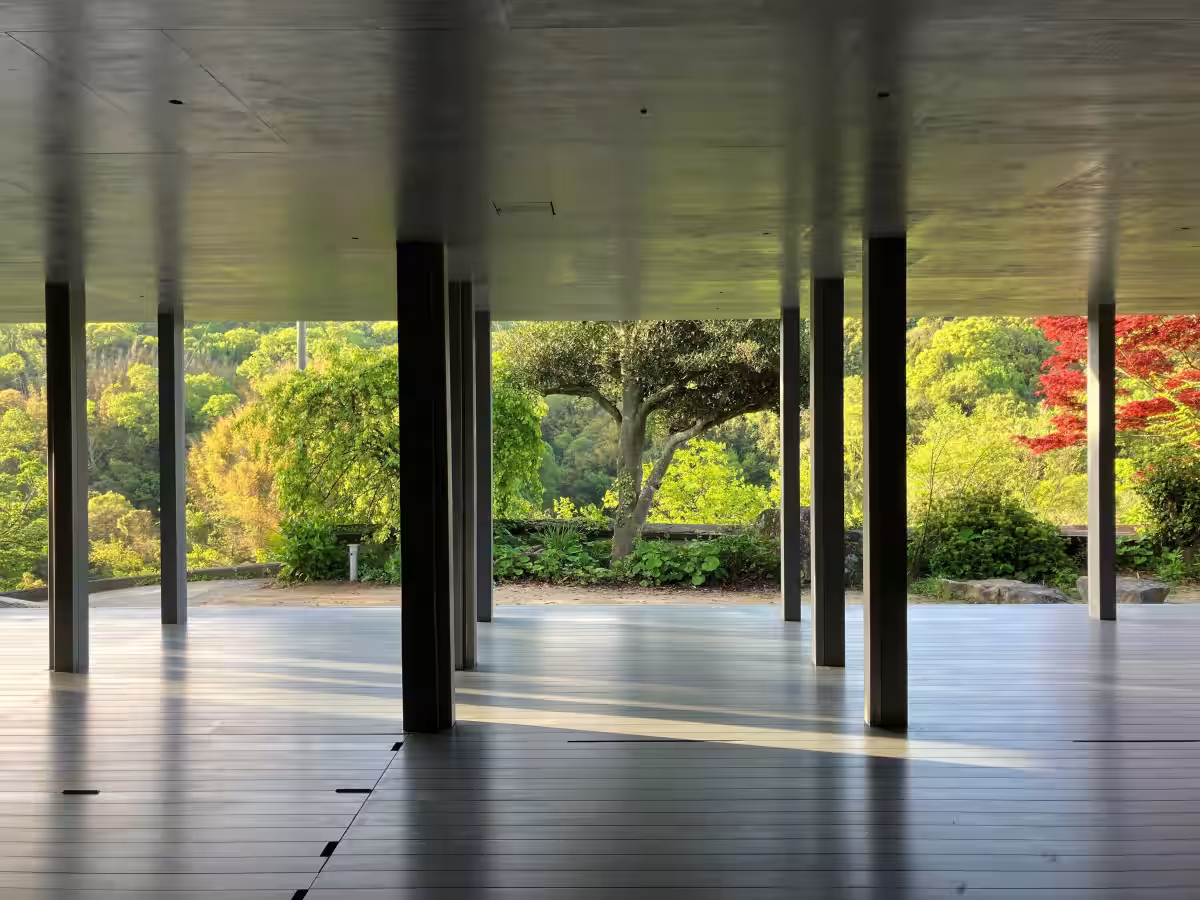 画像6