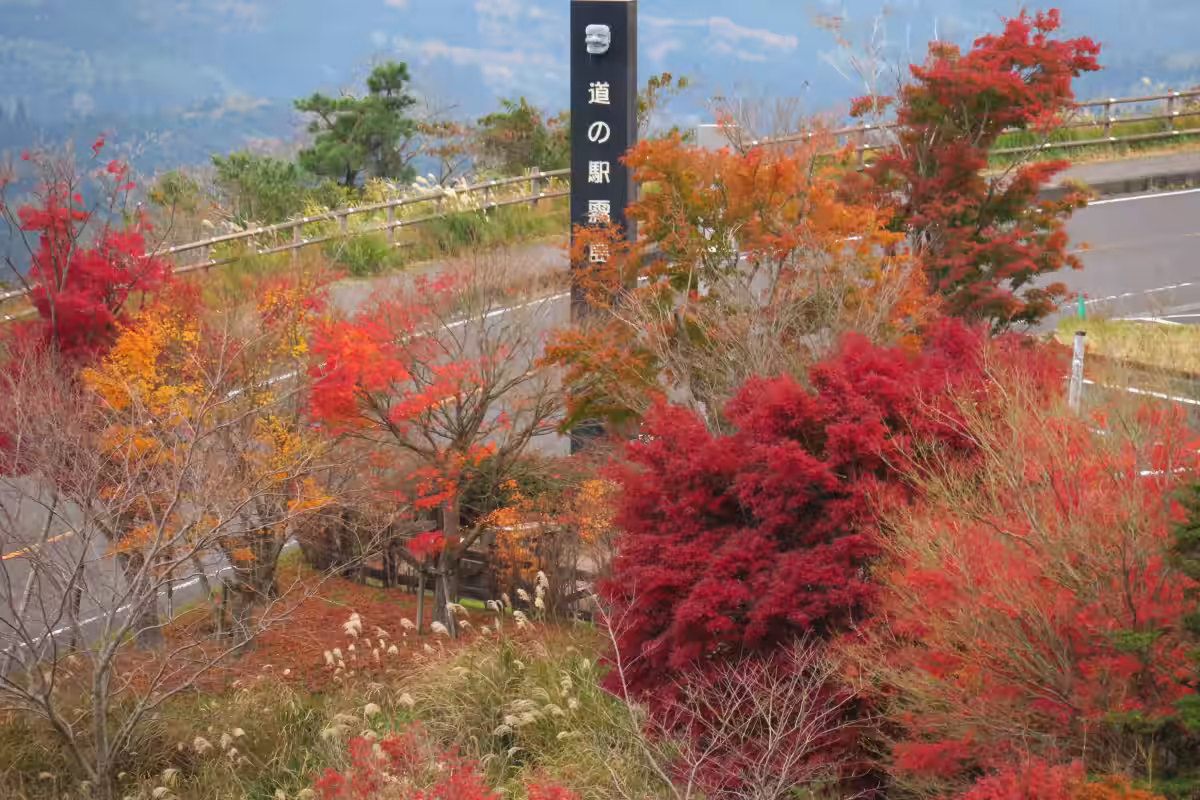 画像13