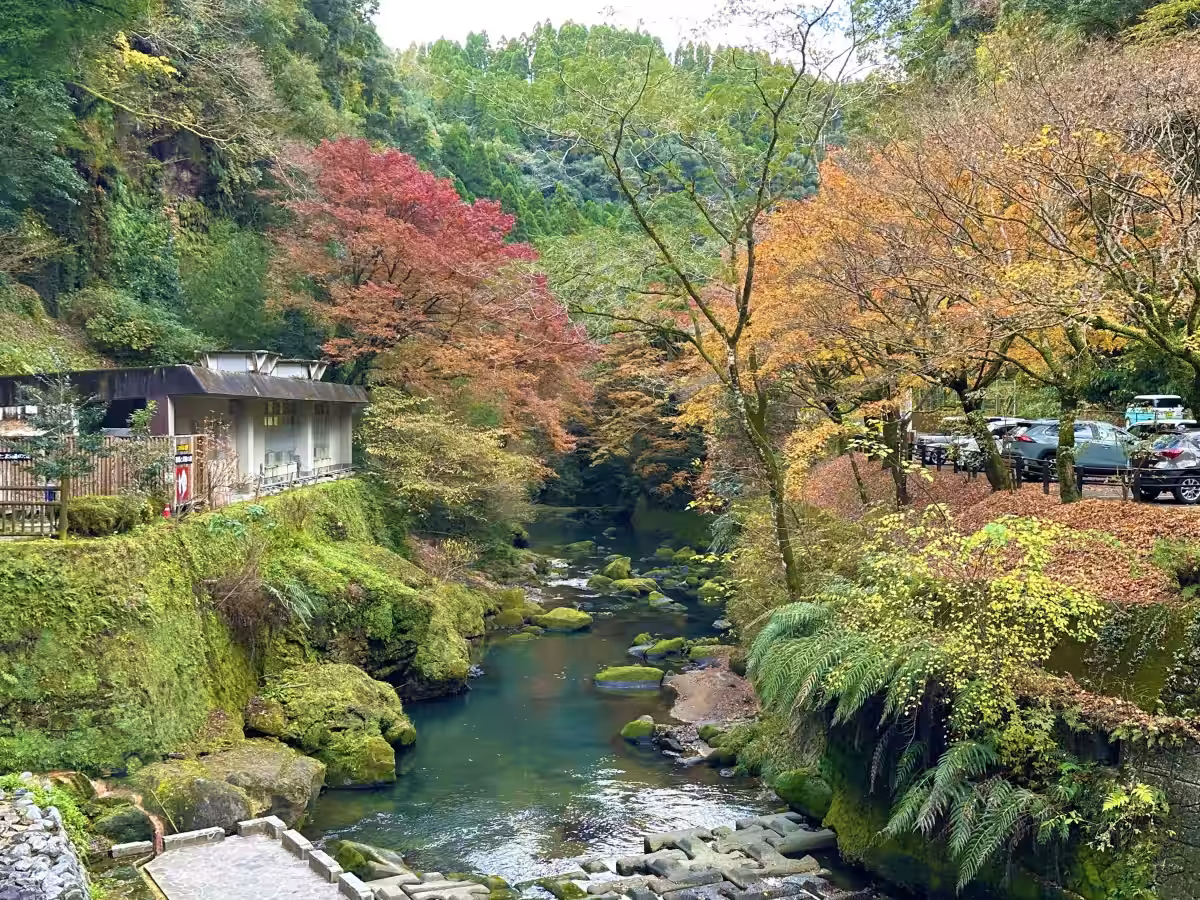 画像14