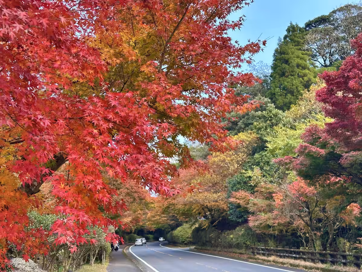 画像10