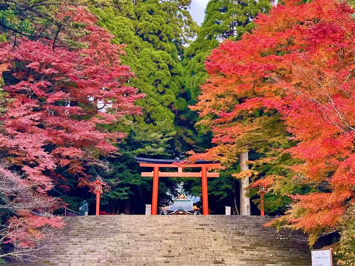 画像8
