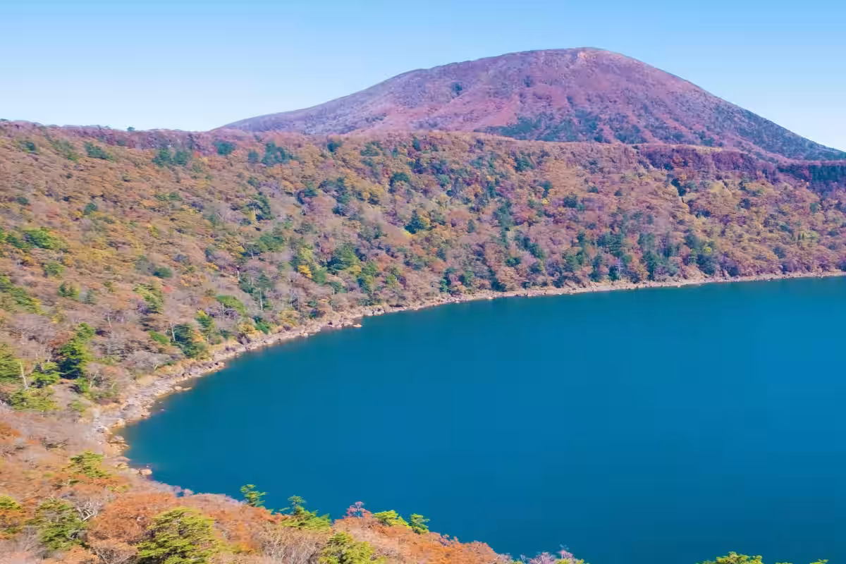 画像3