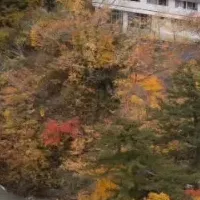 眠りの湯治