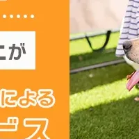 犬しつけの重要性