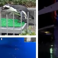特別清掃活動