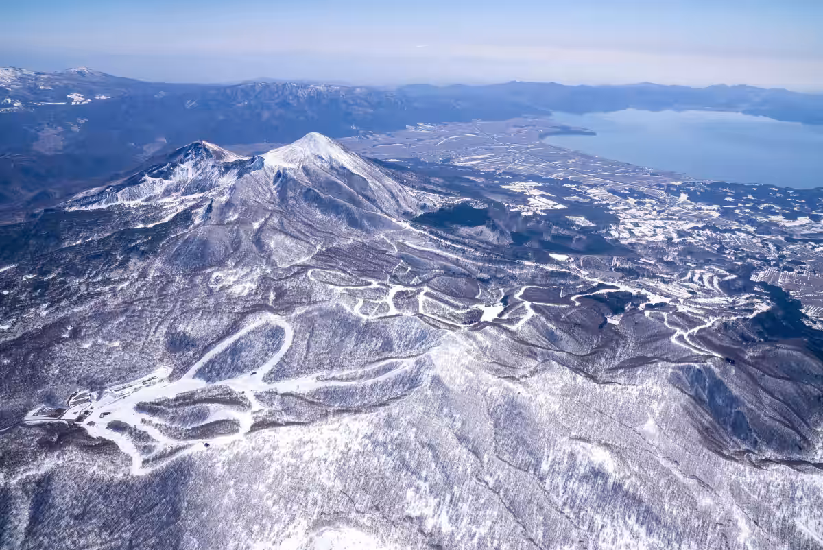 画像9